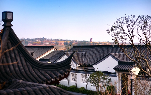 微信图片_20181028174536.jpg