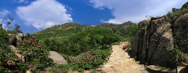 DH4A6731Panorama.jpg