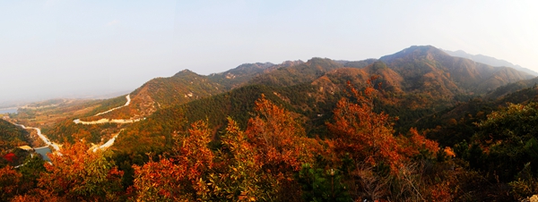 漫山红遍--乔云-18505451937.jpg