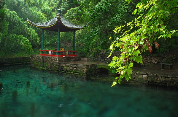 龙湾 雨季.jpg