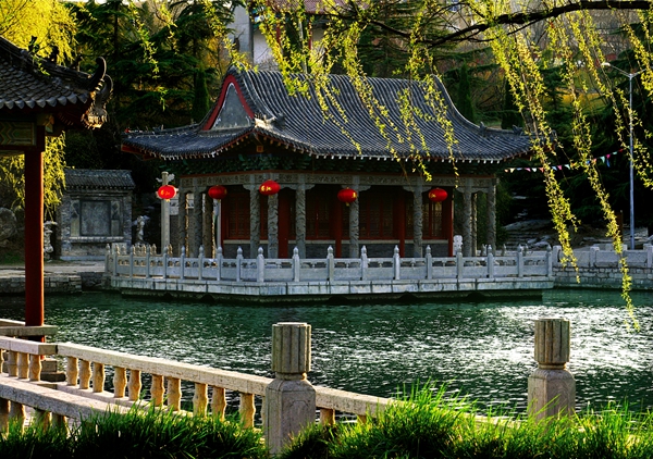 春到龙湾.jpg