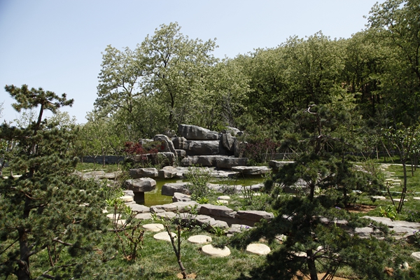 _MG_7246.jpg