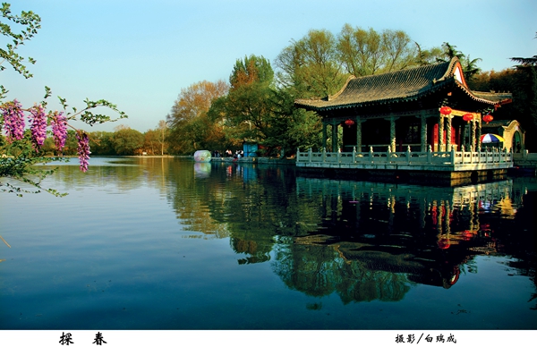龙湾美景1 - 复件.jpg