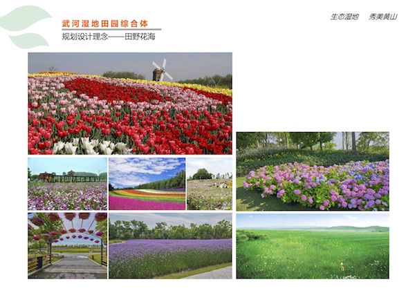 武河湿地田园综合体项目3.jpg