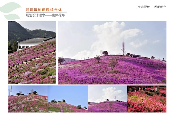 武河湿地田园综合体项目4.jpg